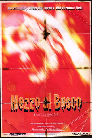 MEZZO AL BOSCO Poster
