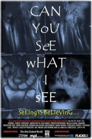 Can You See What I See Poster