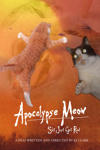 Apocalypse Meow Poster