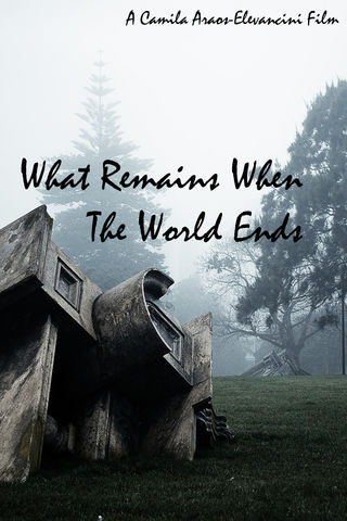 What remains when the world ends Poster
