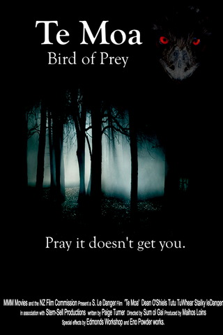 Te Moa - Bird of Prey Poster